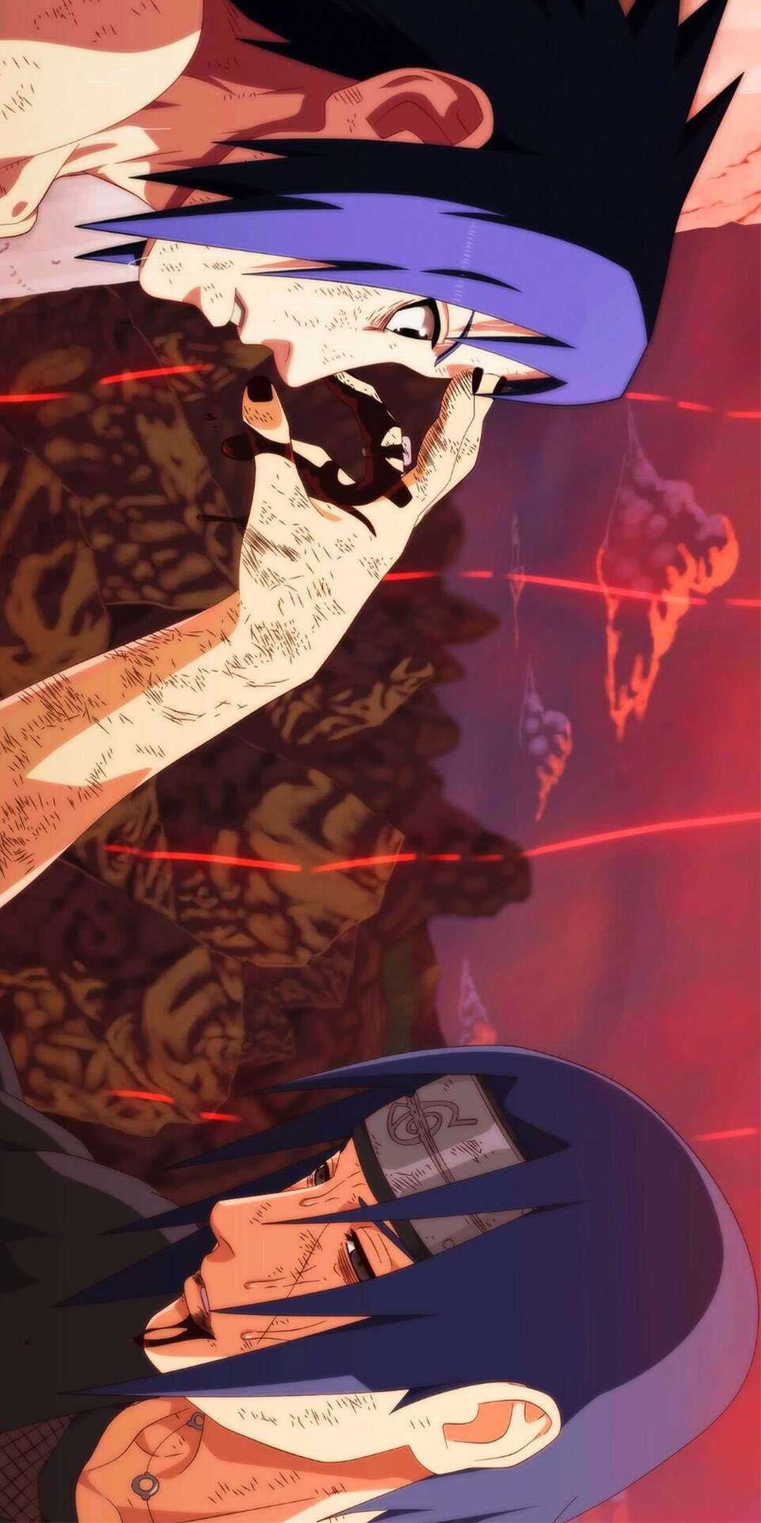 鼬