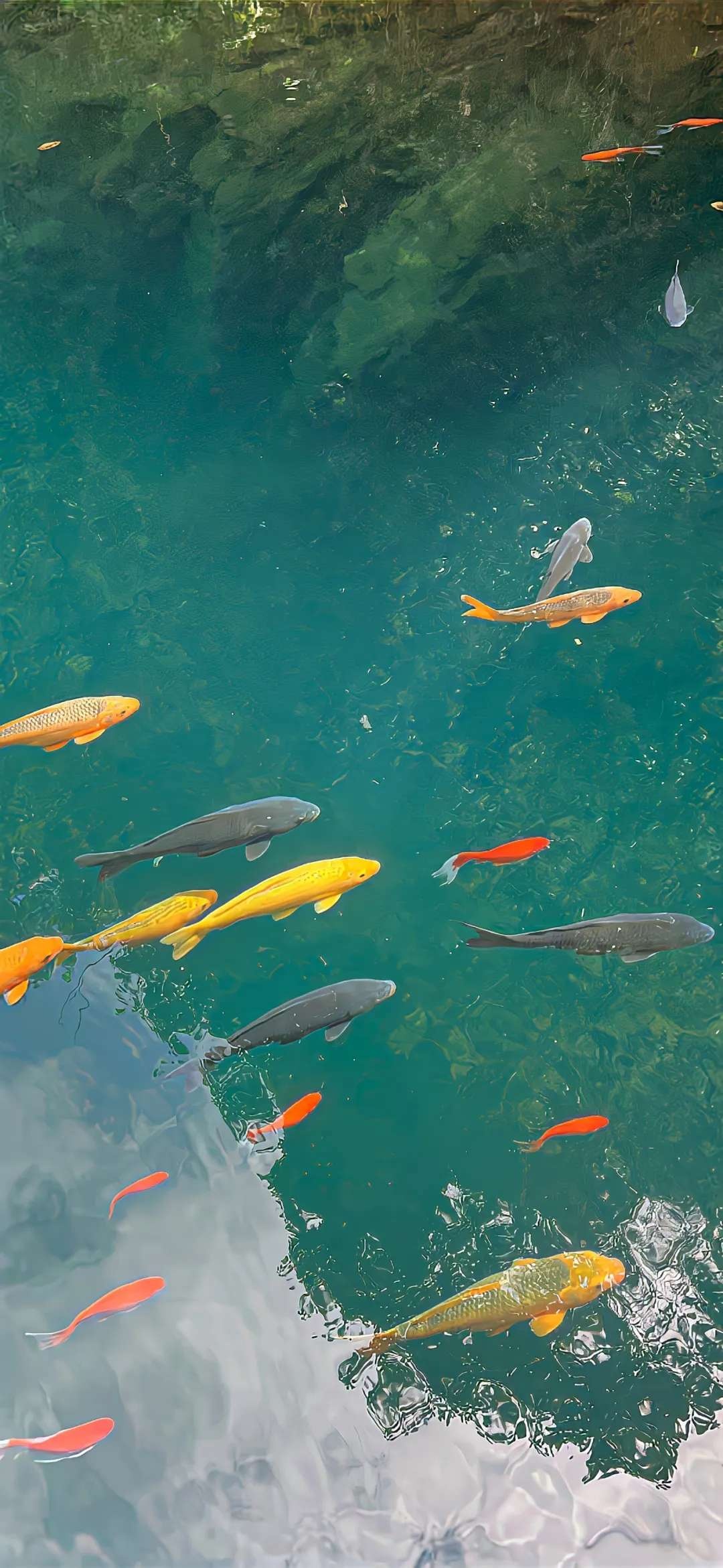 壁纸ins唯美潮图可爱清新世界风景wuwu互关2024/12/04