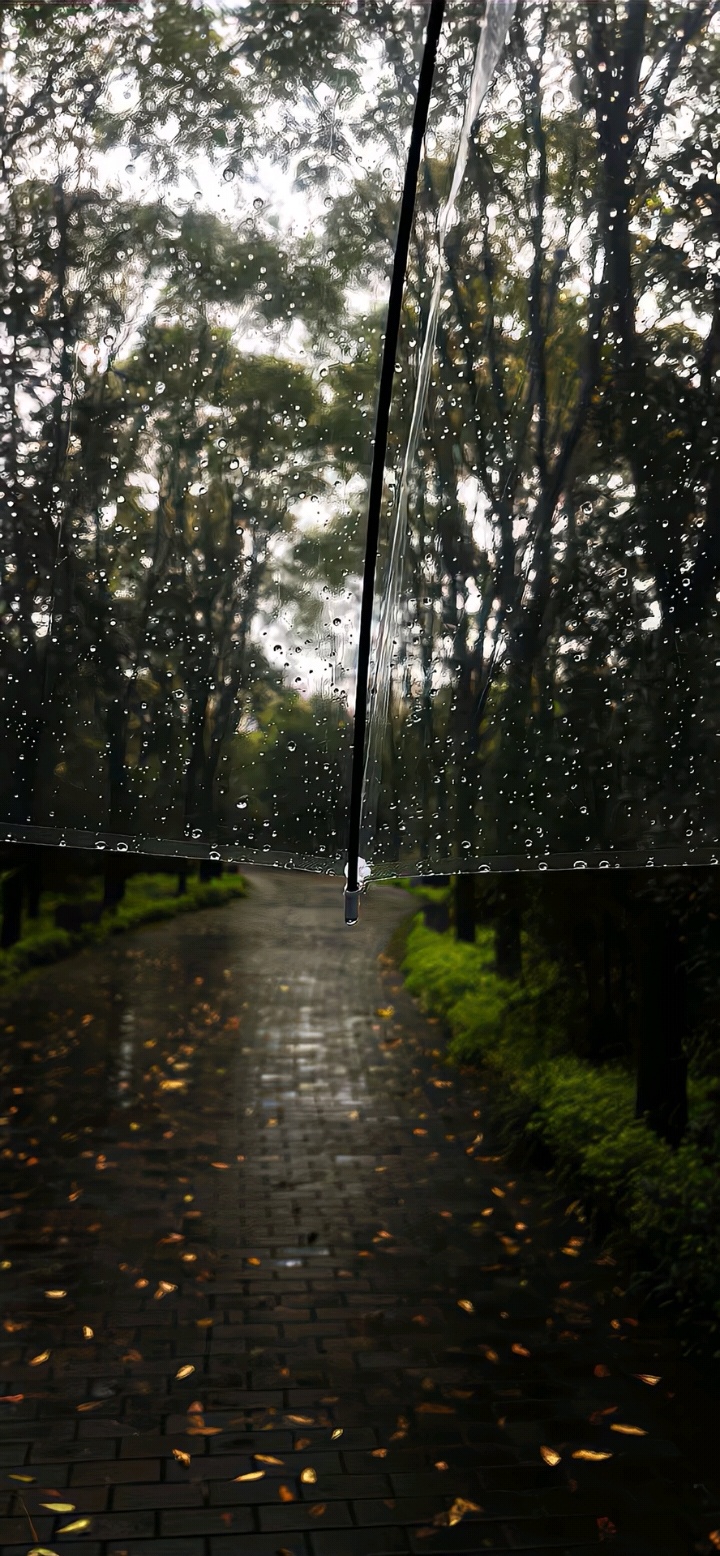 风景壁纸.小雨