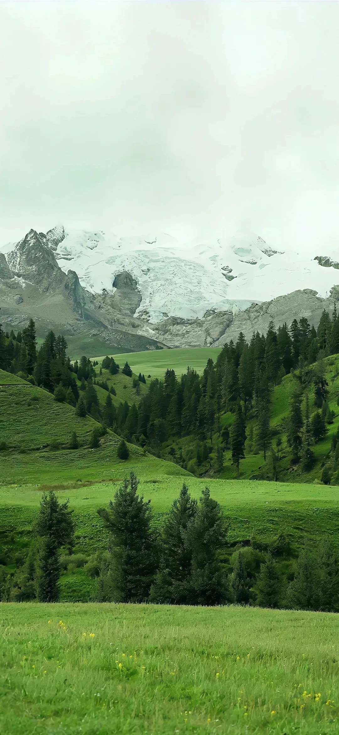 唯美绿色治愈风景壁纸/小雨