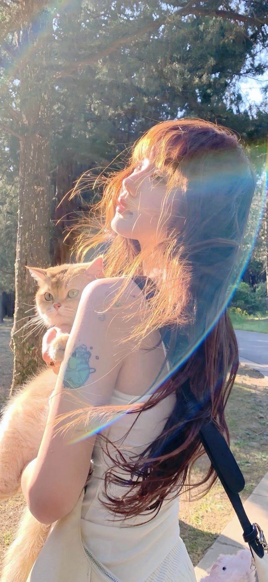 ins唯美女生壁纸/阳和启哲 品物皆春